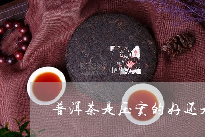 普洱茶是压实的好还是泡的好/2023083013949