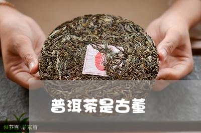 普洱茶是古董/2023042674564