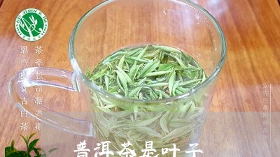 普洱茶是叶子/2023042670662