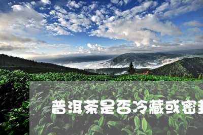 普洱茶是否冷藏或密封/2023073141571