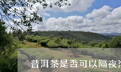 普洱茶是否可以隔夜泡/2023062572036