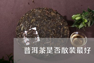 普洱茶是否散装最好/2023070879693