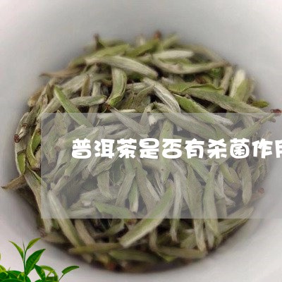 普洱茶是否有杀菌作用/2023092952825