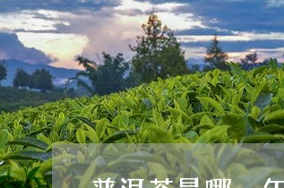 普洱茶是哪一年生产的/2023092588471