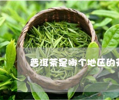 普洱茶是哪个地区的茶/2023080314973