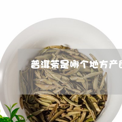 普洱茶是哪个地方产的茶/2023121731603