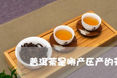 普洱茶是哪产区产的茶叶/2023083023158