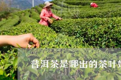 普洱茶是哪出的茶叶好/2023120698281