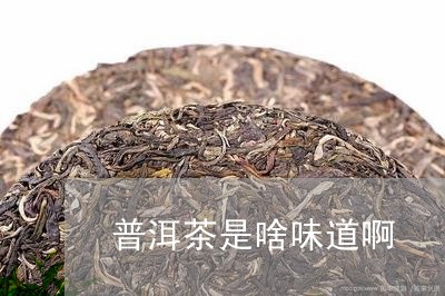 普洱茶是啥味道啊/2023083004939