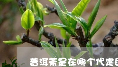 普洱茶是在哪个代定的/2023072207491