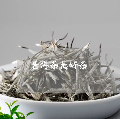 普洱茶是好茶/2023042829986