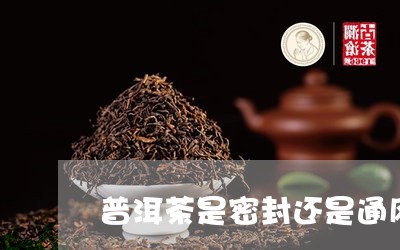 普洱茶是密封还是通风/2023100622613