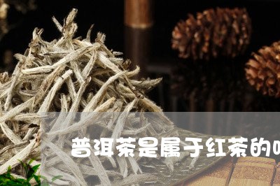 普洱茶是属于红茶的吗/2023092900405