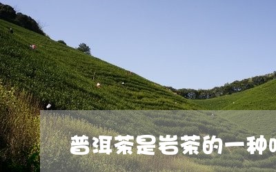 普洱茶是岩茶的一种吗/2023112422627