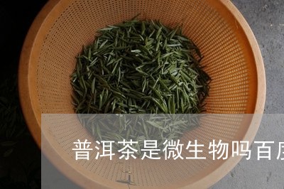 普洱茶是微生物吗百度知道/2023121753794