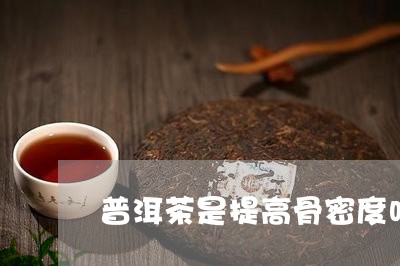 普洱茶是提高骨密度吗/2023062320514