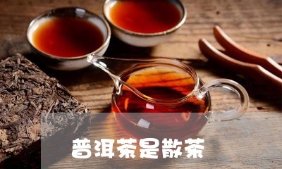 普洱茶是散茶/2023042946305