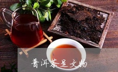 普洱茶是文物/2023042615526