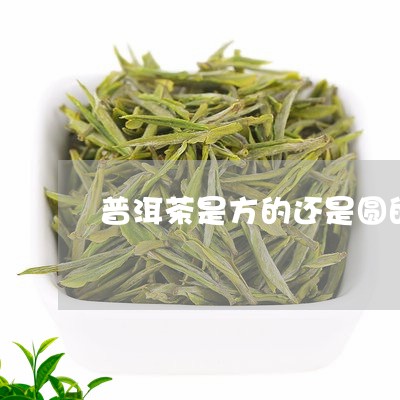 普洱茶是方的还是圆的/2023072397168