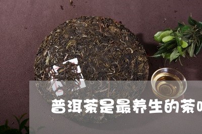 普洱茶是最养生的茶吗/2023073169606