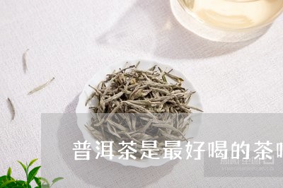 普洱茶是最好喝的茶吗/2023073199593