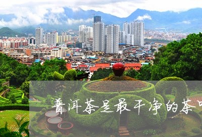 普洱茶是最干净的茶叶吗/2023082714057