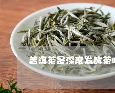 普洱茶是深度发酵茶吗/2023120621148