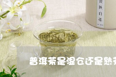 普洱茶是湿仓还是熟茶/2023062360482