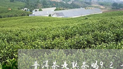 普洱茶是熟茶吗92年的普洱茶价格/2023060375037