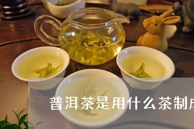 普洱茶是用什么茶制成的/2023050673604