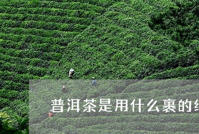 普洱茶是用什么裹的纸/2023083012806