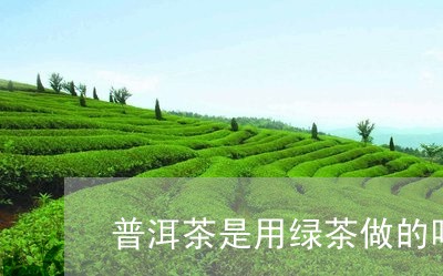 普洱茶是用绿茶做的吗/2023072260683