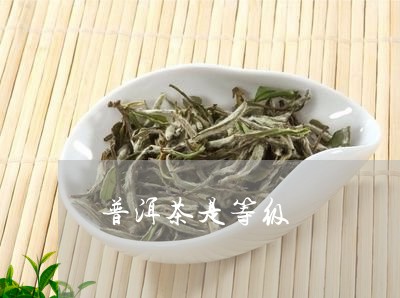 普洱茶是等级/2023091205348