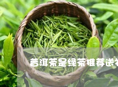 普洱茶是绿茶推荐送礼/2023062586259