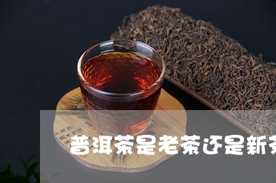 普洱茶是老茶还是新茶/2023080360282