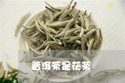 普洱茶是茯茶/2023042897976