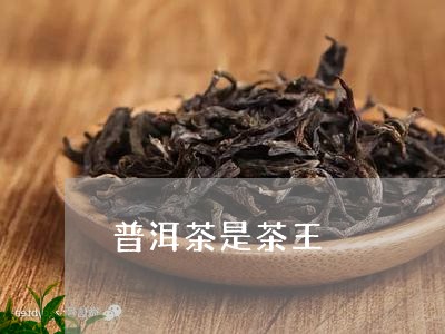 普洱茶是茶王/2023042834299