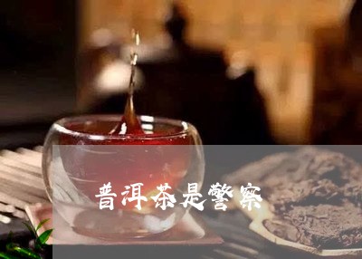 普洱茶是警察/2023042829509