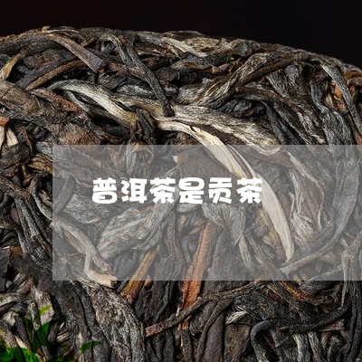 普洱茶是贡茶/2023042899143