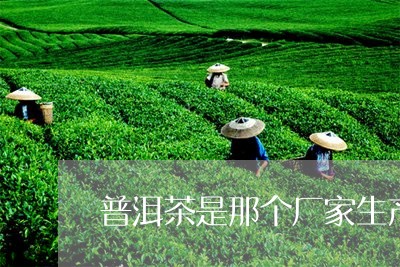 普洱茶是那个厂家生产的/2023122036158