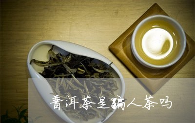 普洱茶是骗人茶吗/2023120486370