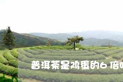 普洱茶是鸡蛋的6倍吗/2023061464834