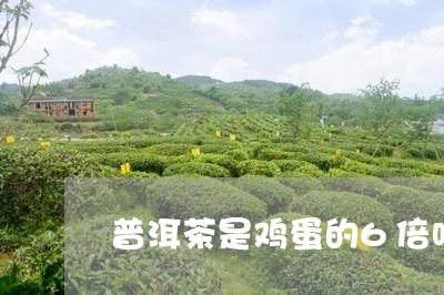 普洱茶是鸡蛋的6倍吗/2023092581137