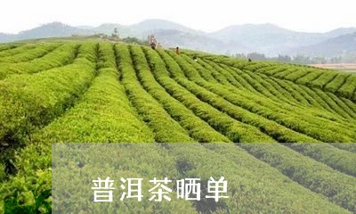 普洱茶晒单/2023102537160