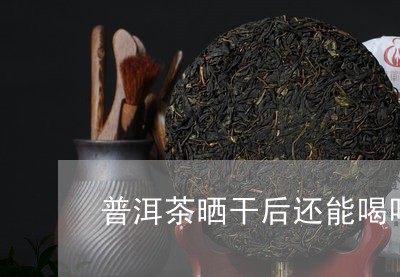 普洱茶晒干后还能喝吗现在/2023083090585