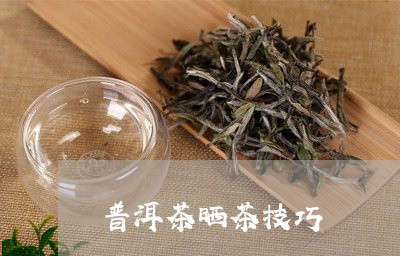 普洱茶晒茶技巧/2023120374837