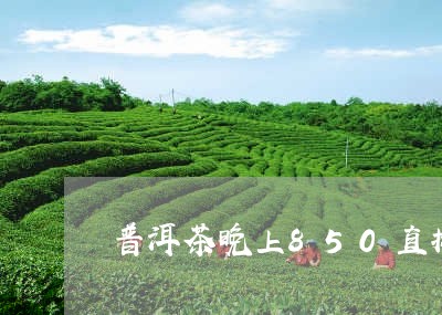 普洱茶晚上850直播/2023121785919