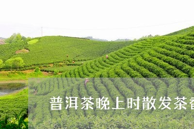 普洱茶晚上时散发茶香/2023100748261