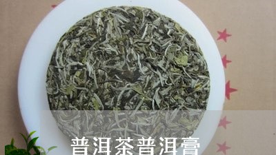 普洱茶普洱膏/2023042878178