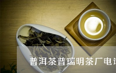 普洱茶普瑞明茶厂电话/2023092814714